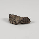  Gold Basin Meteorite | 1.0 Grams | L4 Chondrite | Arizona | SO24 6
