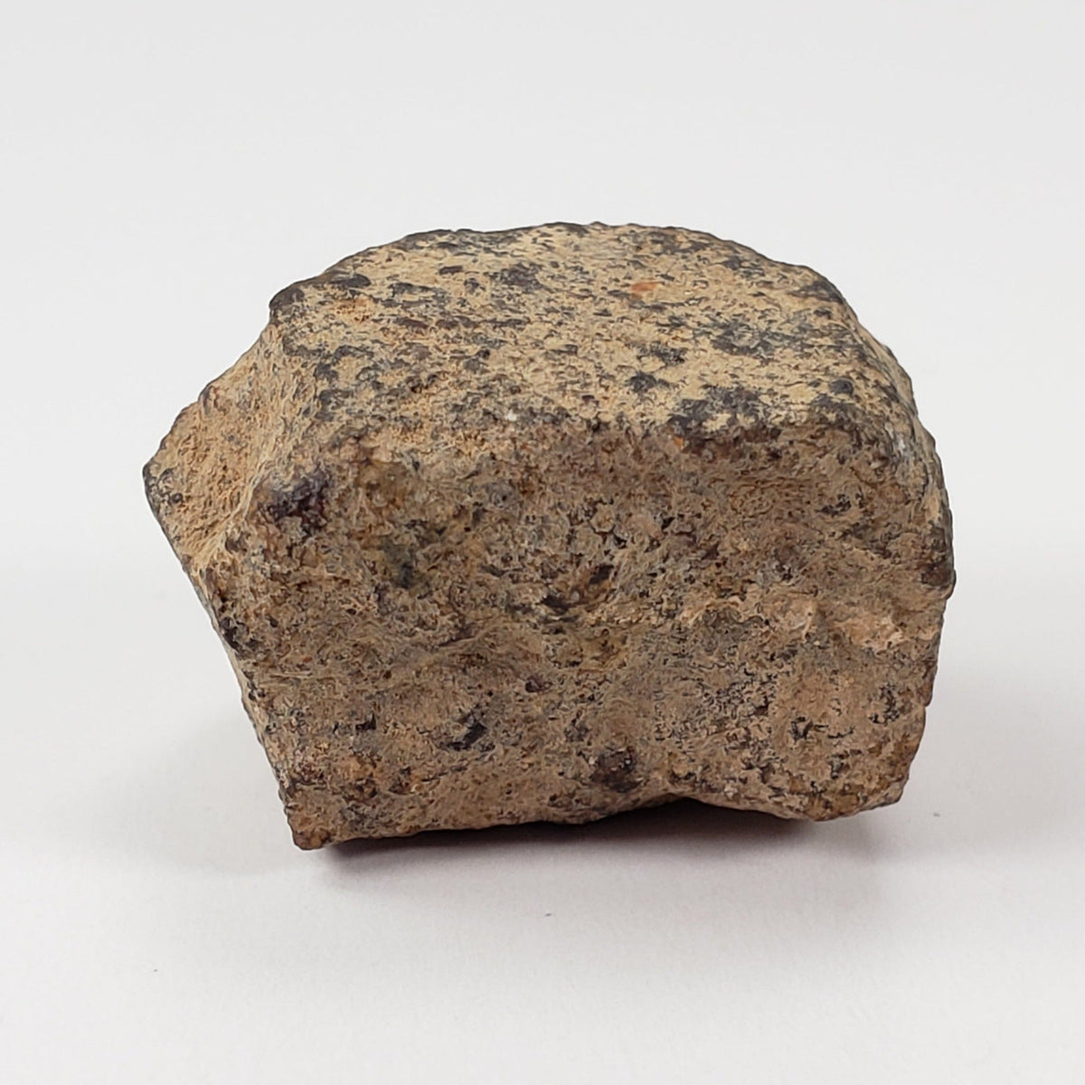  Gold Basin Meteorite | 14.7 Grams | Individual | L4 Chondrite | Arizona | SO24 1