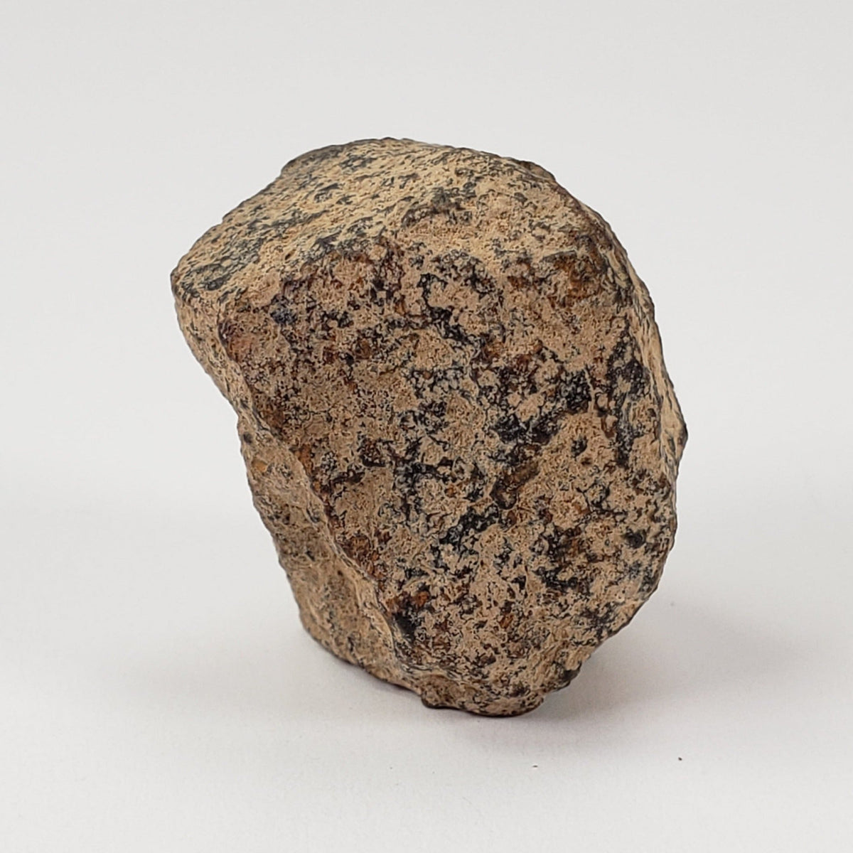  Gold Basin Meteorite | 14.7 Grams | Individual | L4 Chondrite | Arizona | SO24 3