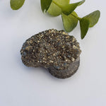  Goniatite, Clymenia, Bivalvia Fossil | Natural Fossilized Pyritized in Host Rock | Fammenian - Devonian | Kowala Formation, Poland | SO24 6