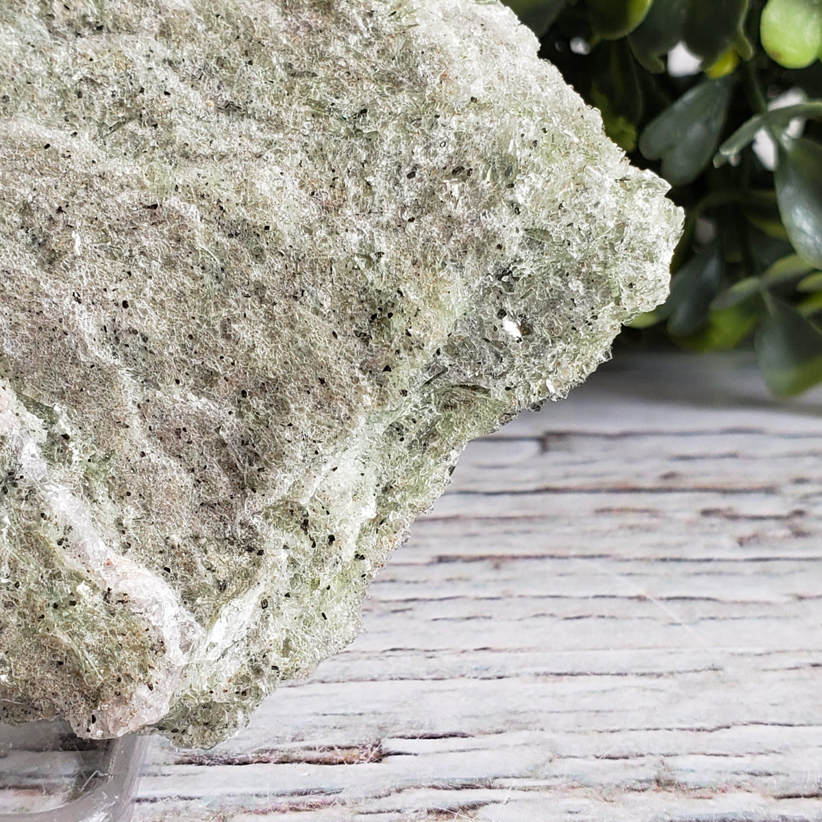  Green Mica Schist Metamorphic Rock, Muscovite, 166.3 Grams, Eastern Ontario, Canada | SO24 6