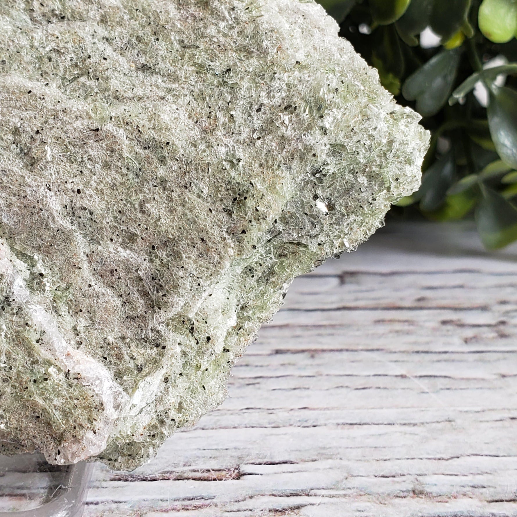  Green Mica Schist Metamorphic Rock, Muscovite, 166.3 Grams, Eastern Ontario, Canada | SO24 6