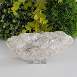  Green Mica Schist Metamorphic Rock, Muscovite, 252 Grams, Eastern Ontario, Canada | SO24 5