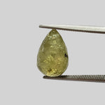  Grossular Mali Garnet | Briolette | Spring Green | 14x10m 11.27ct 