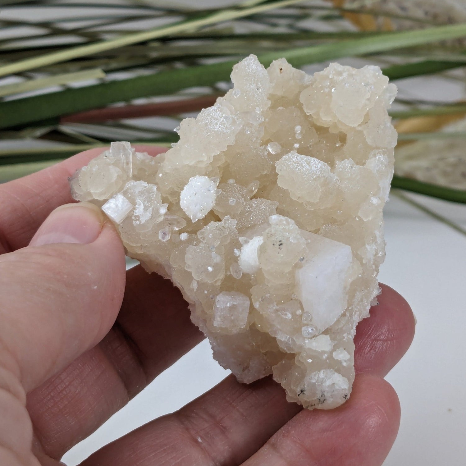  Gyrolite and Apophyllite on Prehnite Crystal | 85 grams | Mumbai, India 