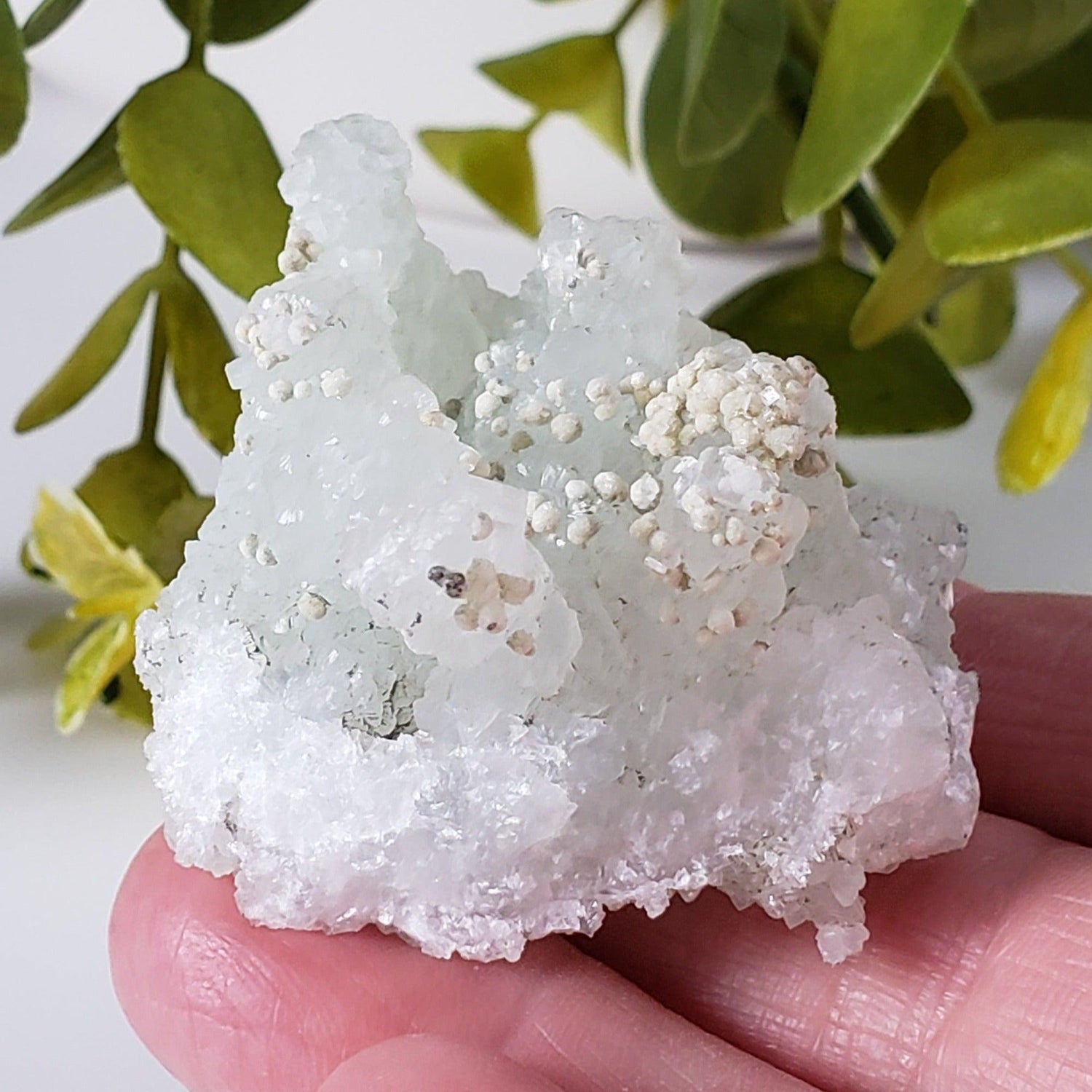  Gyrolite on Prehnite Crystal | 64 gr | Mumbai, India 