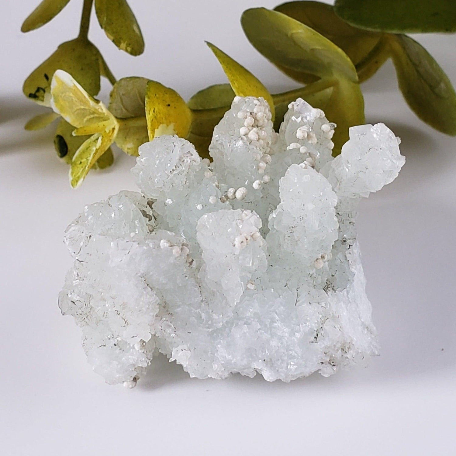  Gyrolite on Prehnite Crystal | 64 gr | Mumbai, India 1