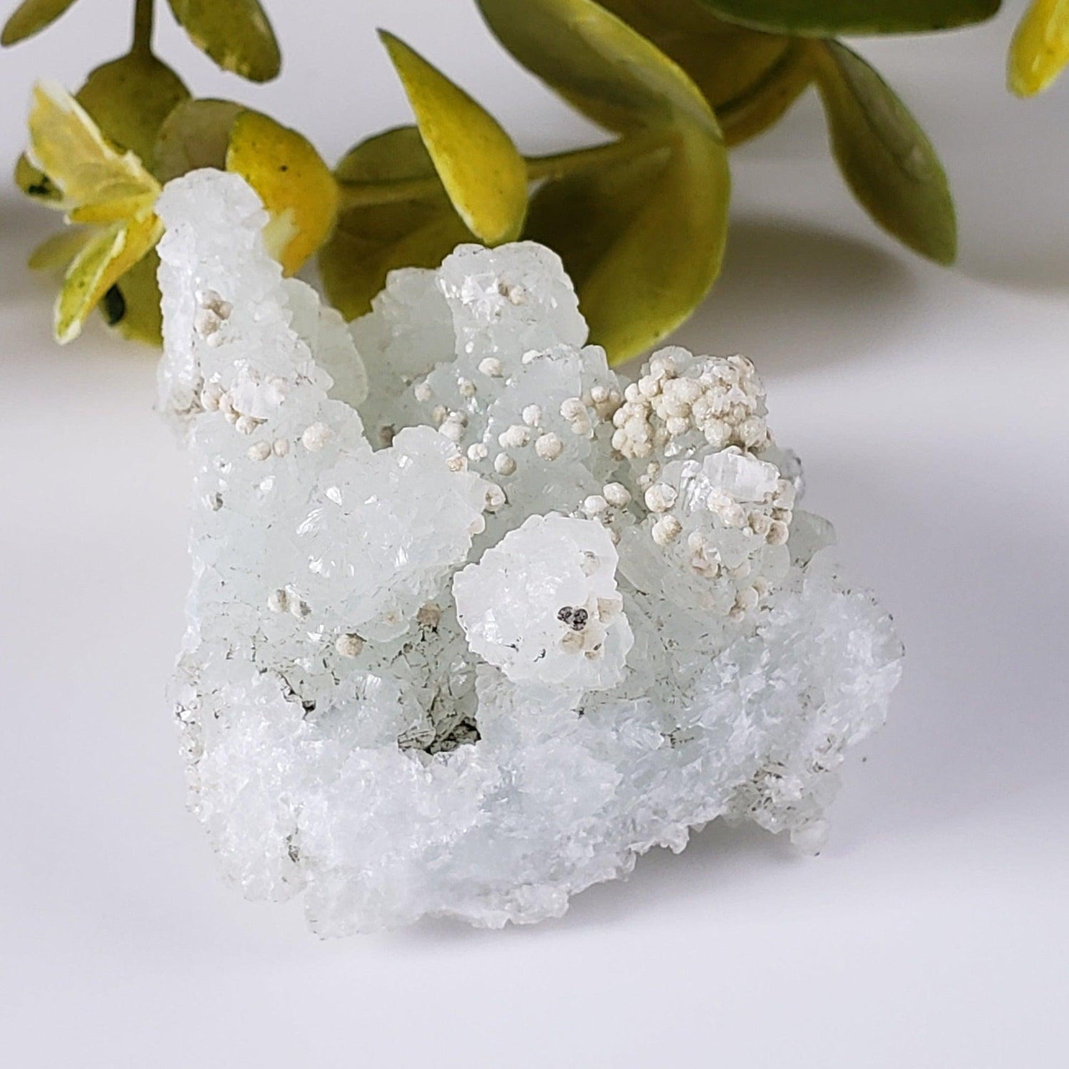  Gyrolite on Prehnite Crystal | 64 gr | Mumbai, India 2