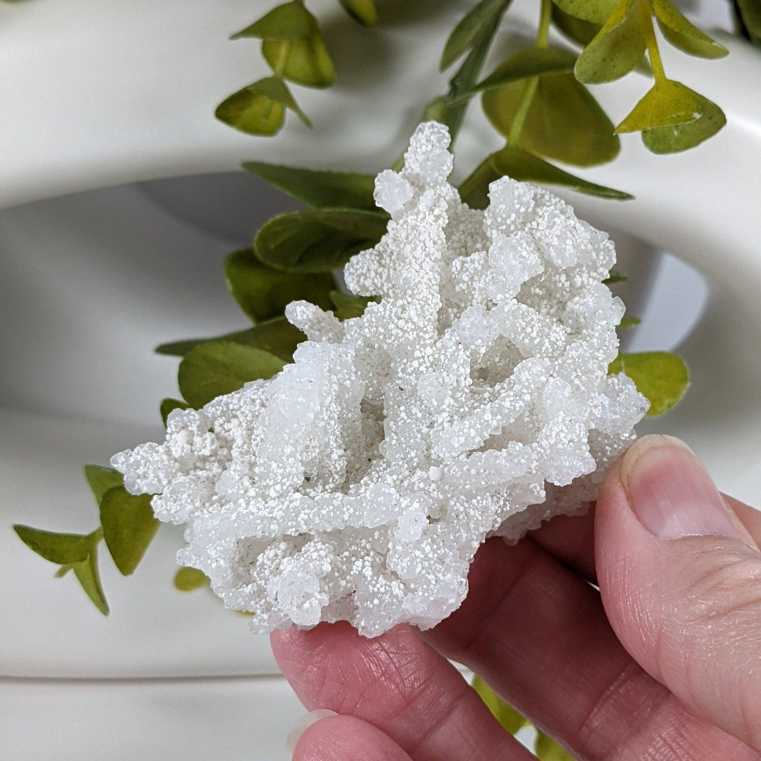  Gyrolite on Prehnite Crystal | 72 gr | Mumbai, India 