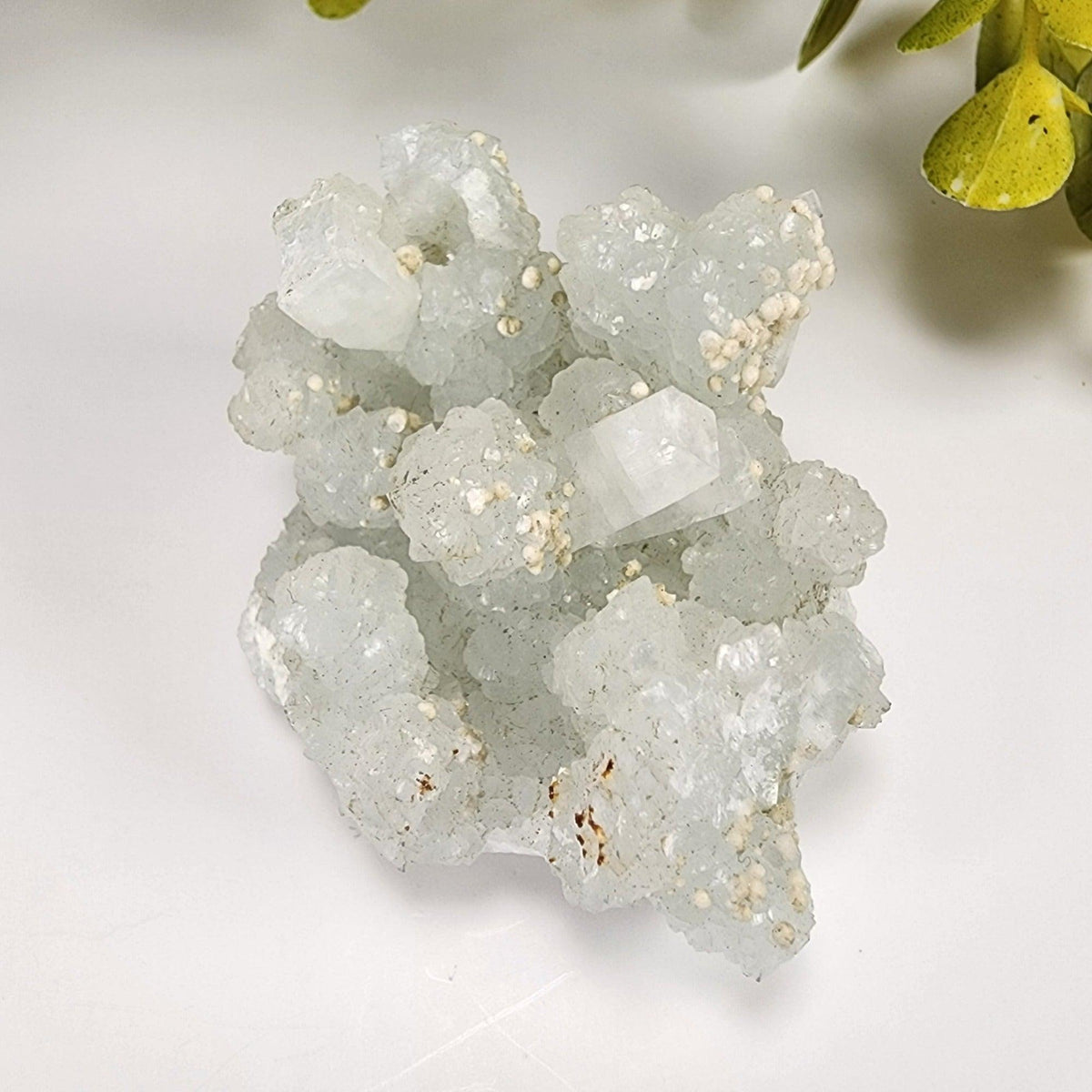  Gyrolite on Prehnite Crystal Cluster | 64 grams | Mumbai, India 8