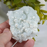  Gyrolite on Prehnite Crystal Cluster | 84 grams | Mumbai, India | SO24 