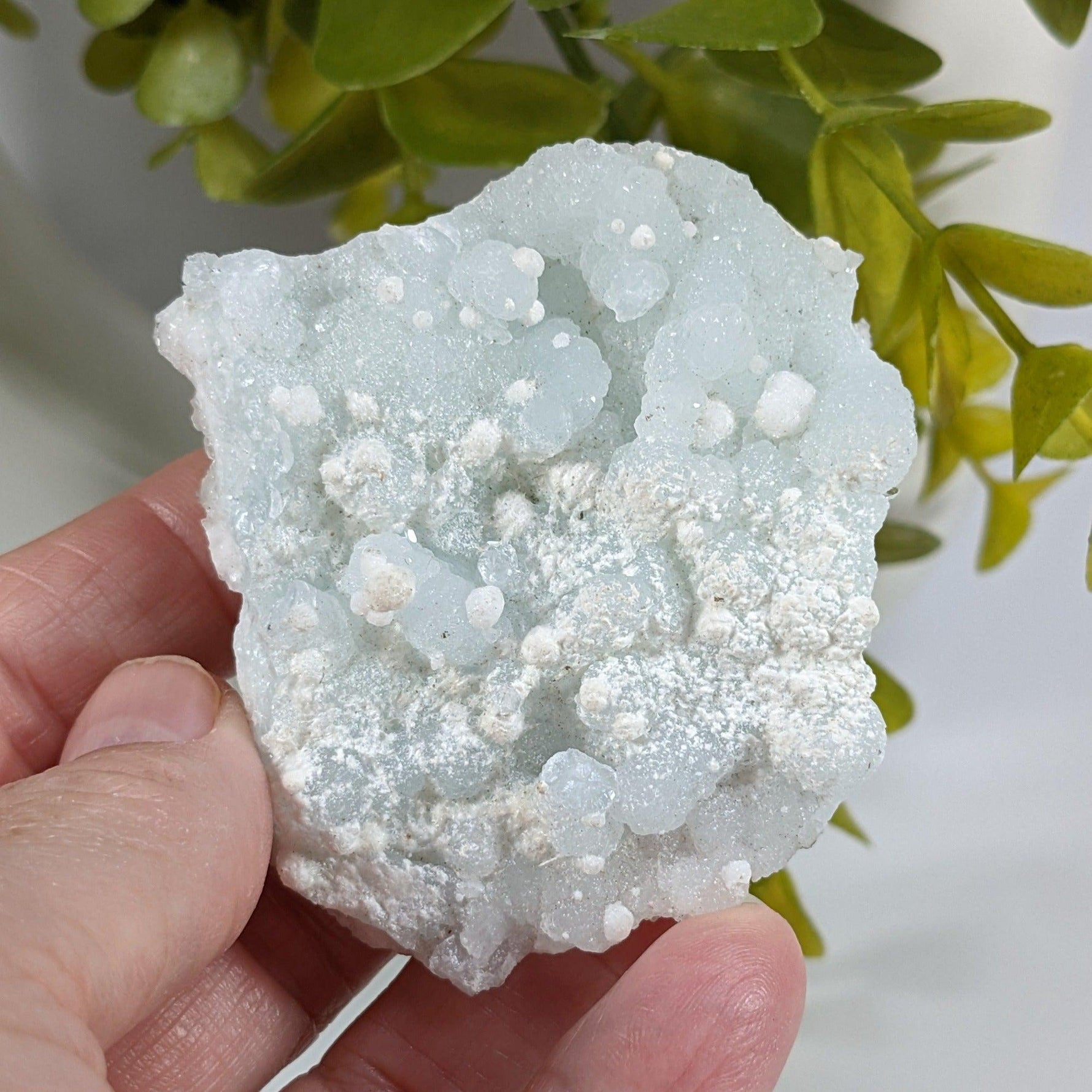  Gyrolite on Prehnite Crystal Cluster | 84 grams | Mumbai, India | SO24 