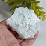  Gyrolite on Prehnite Crystal Cluster | 84 grams | Mumbai, India | SO24 2