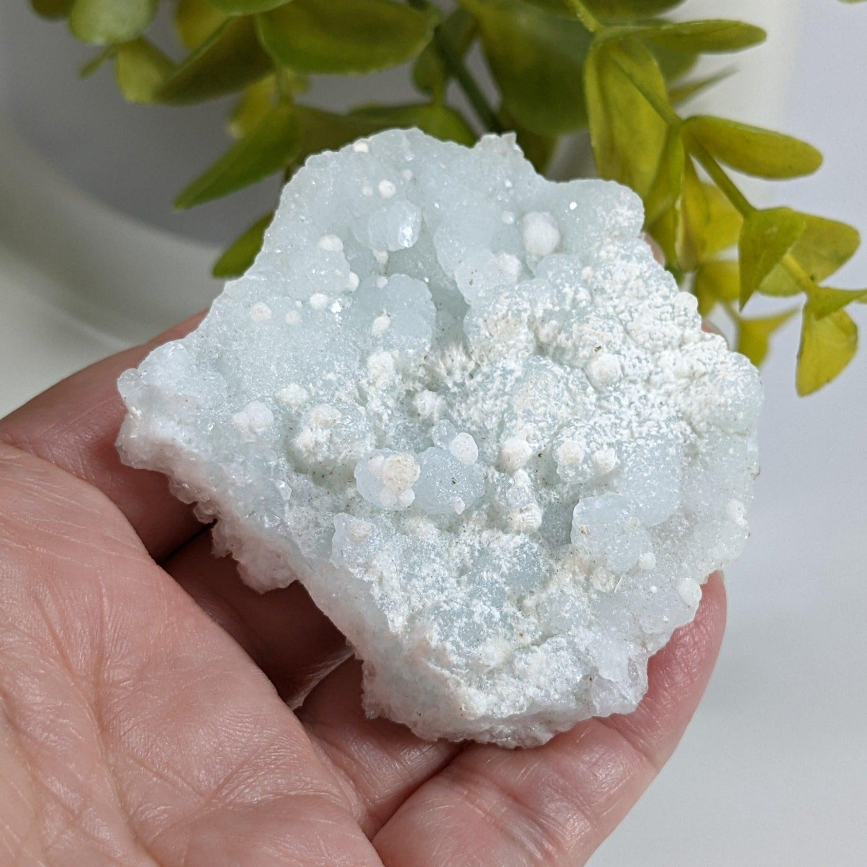  Gyrolite on Prehnite Crystal Cluster | 84 grams | Mumbai, India | SO24 2
