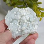  Gyrolite on Prehnite Crystal Cluster | 84 grams | Mumbai, India | SO24 5