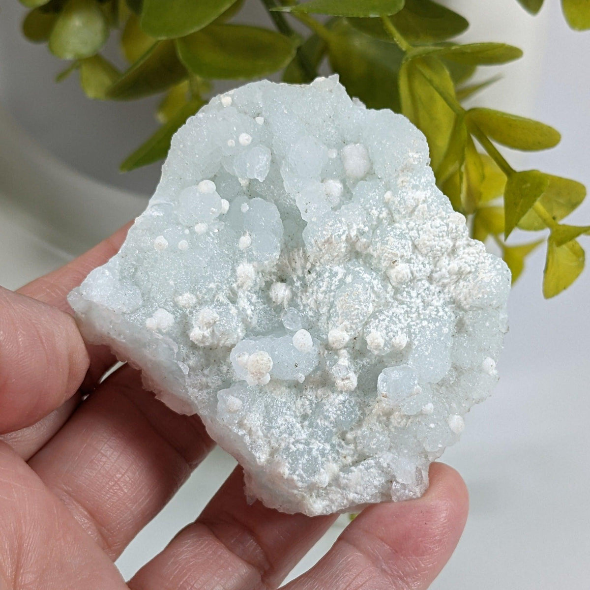 Gyrolite on Prehnite Crystal Cluster | 84 grams | Mumbai, India | SO24 7