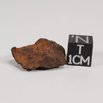  Henbury Meteorite-in-a-Box | 7 Gr Individual | Iron IIIAB | Awesome Rare Australia SO24 