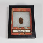  Henbury Meteorite-in-a-Box | 7 Gr Individual | Iron IIIAB | Awesome Rare Australia SO24 1