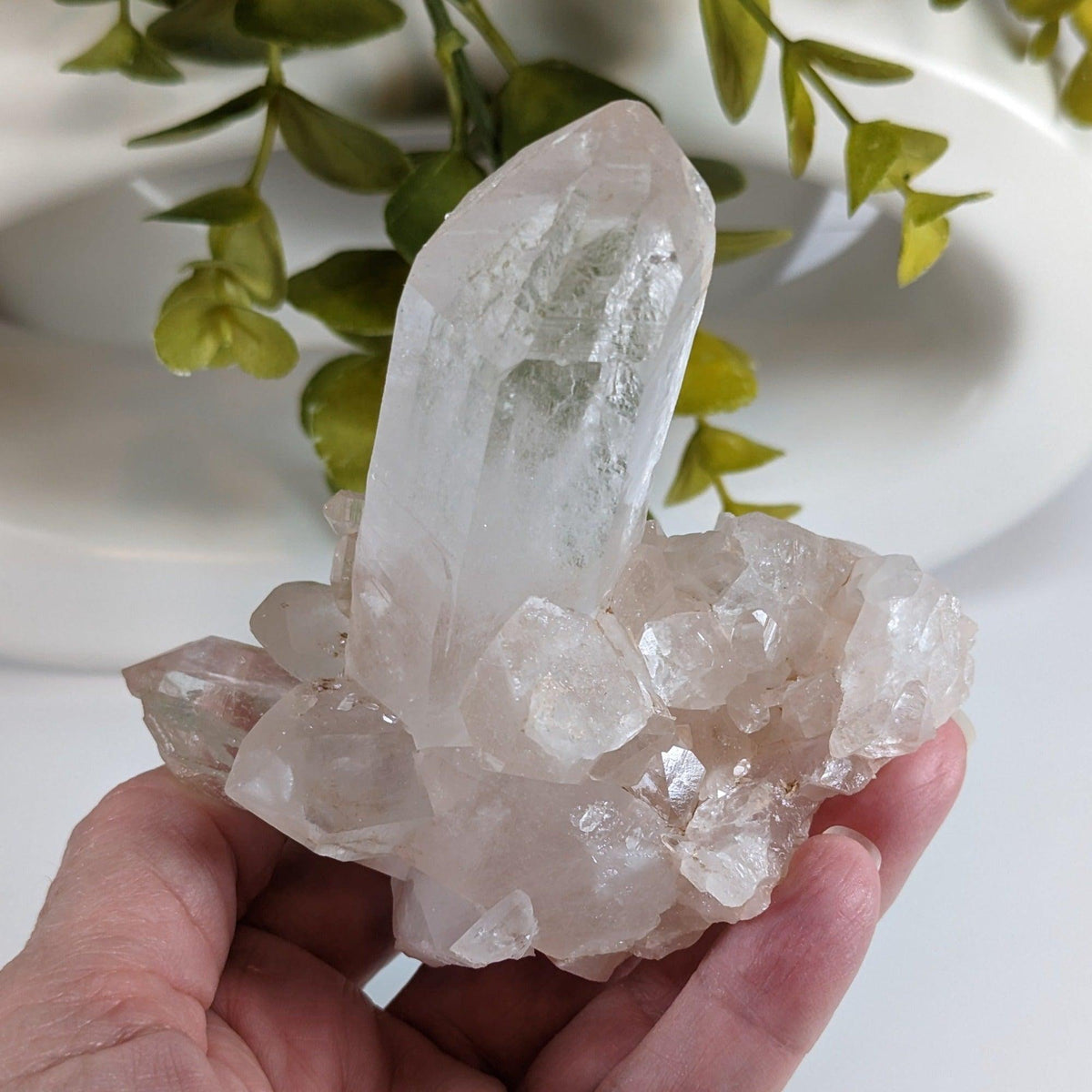  Himalayan Quartz Cluster | Large Terminated Quartz Point | 300 Grams | Kullu Valley | SO24 2