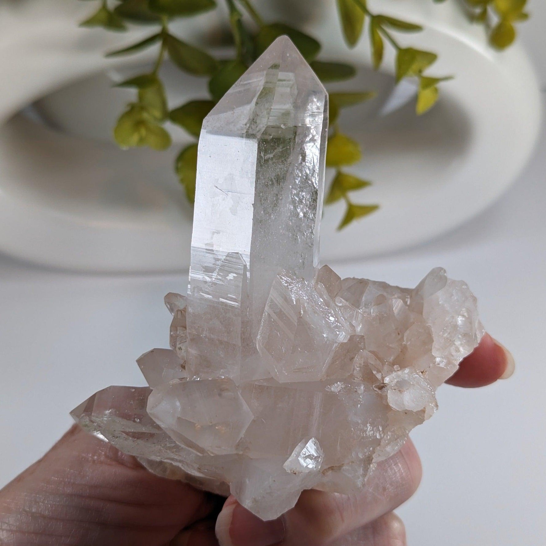  Himalayan Quartz Cluster | Large Terminated Quartz Point | 300 Grams | Kullu Valley | SO24 3