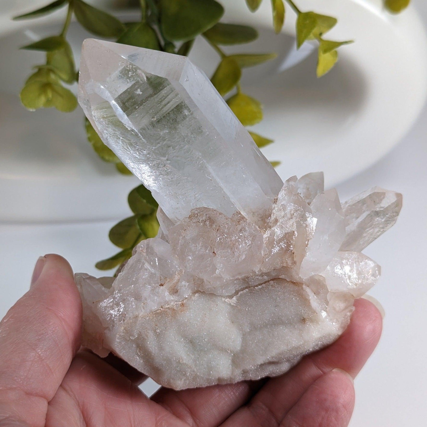 Himalayan Quartz Cluster | Large Terminated Quartz Point | 300 Grams | Kullu Valley | SO24 4