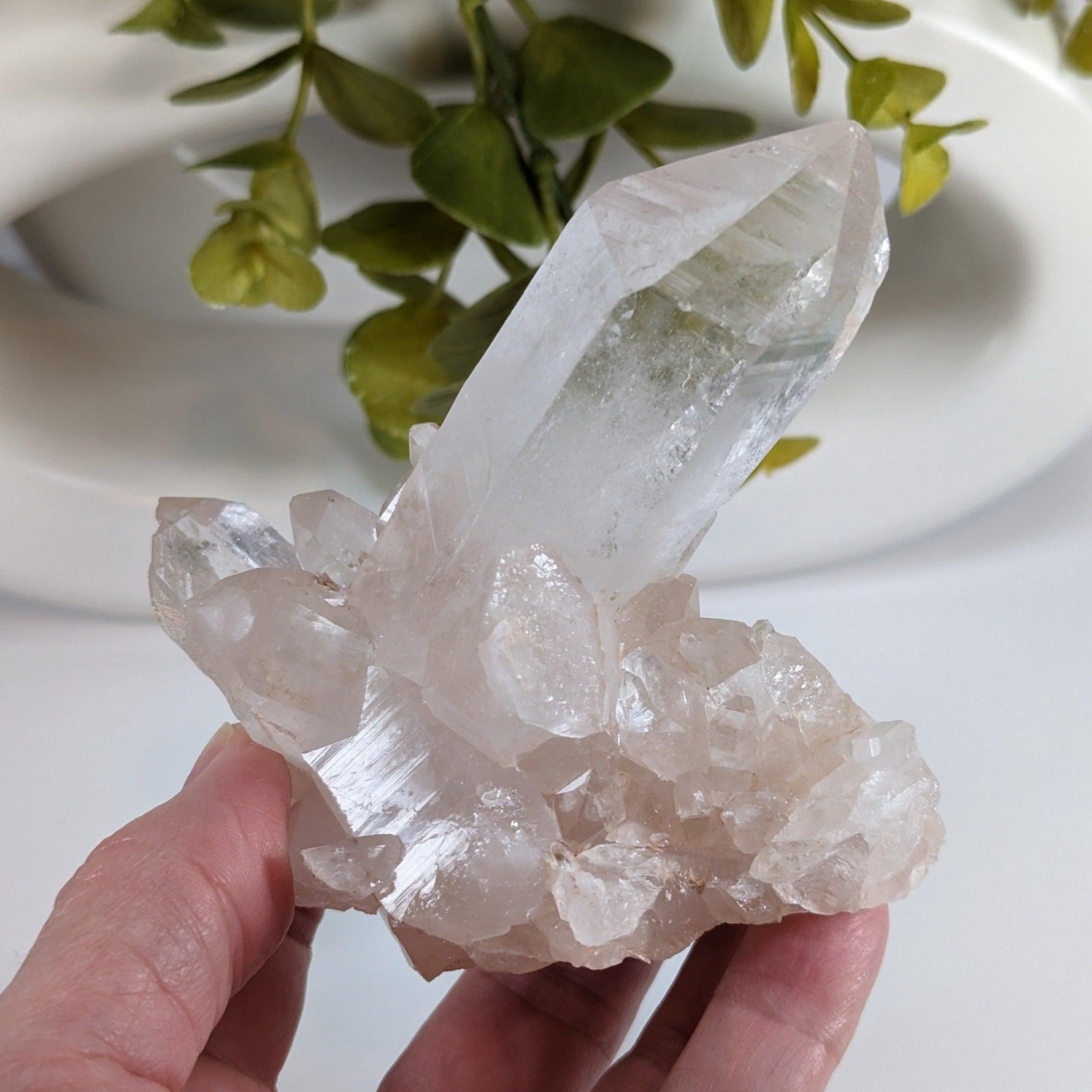  Himalayan Quartz Cluster | Large Terminated Quartz Point | 300 Grams | Kullu Valley | SO24 5