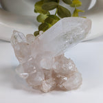  Himalayan Quartz Cluster | Large Terminated Quartz Point | 300 Grams | Kullu Valley | SO24 8