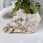  Himalayan Quartz Cluster | Multiple Clear Terminated Quartz Points | 2.4 KG | AAA Mineral 1