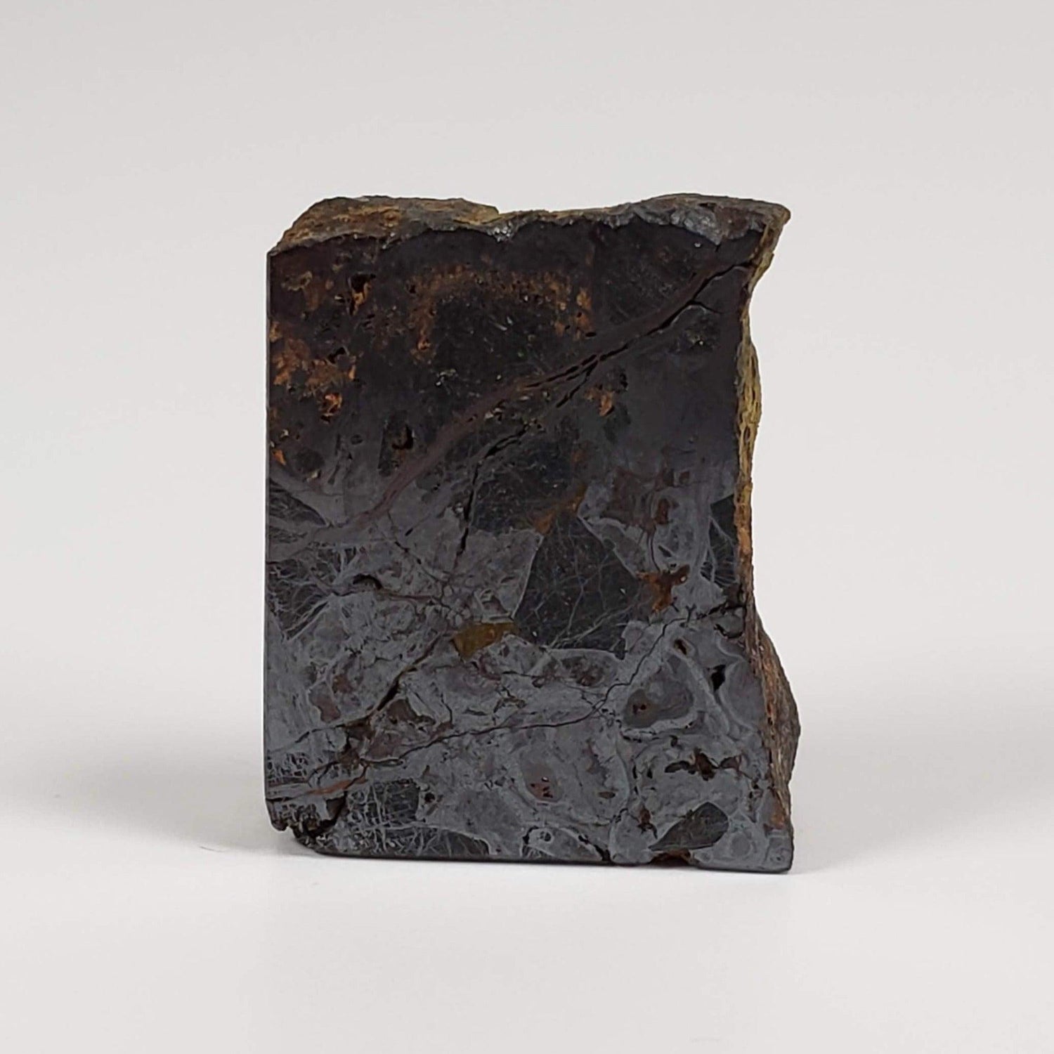  Huckitta Meteorite | 9.05 Grams | Part Slice | Pallasite Stony Iron | Rare | Australia | SO24 1