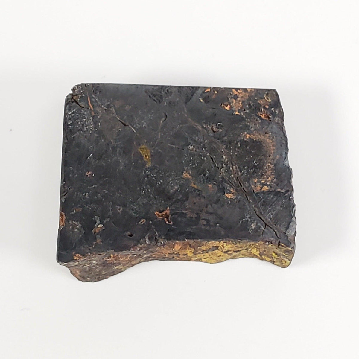  Huckitta Meteorite | 9.05 Grams | Part Slice | Pallasite Stony Iron | Rare | Australia | SO24 6