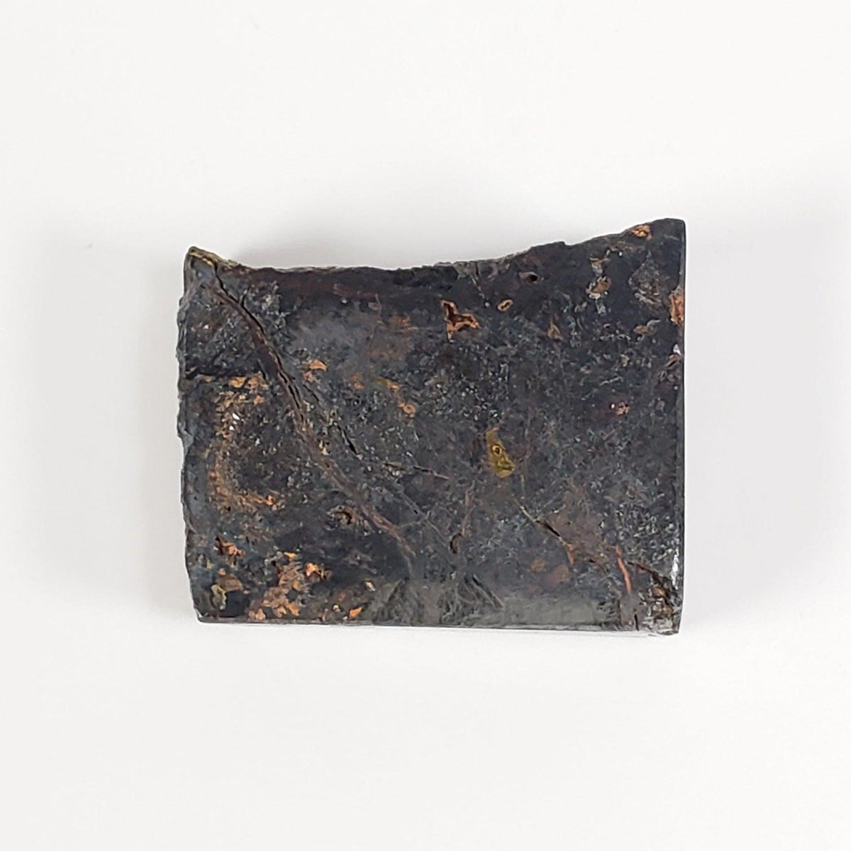 Huckitta Meteorite | 9.05 Grams | Part Slice | Pallasite Stony Iron | Rare | Australia | SO24 7