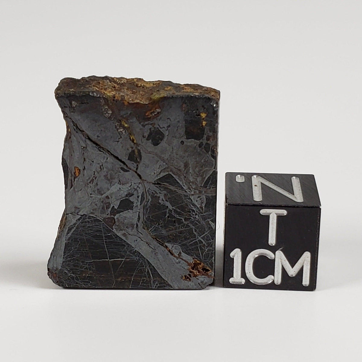  Huckitta Meteorite | 9.05 Grams | Part Slice | Pallasite Stony Iron | Rare | Australia | SO24 