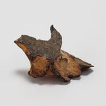  Imilac Meteorite | 1.2 Grams | Individual | Pallasite Stony Iron | Rare 1822 | Chile SO24 2