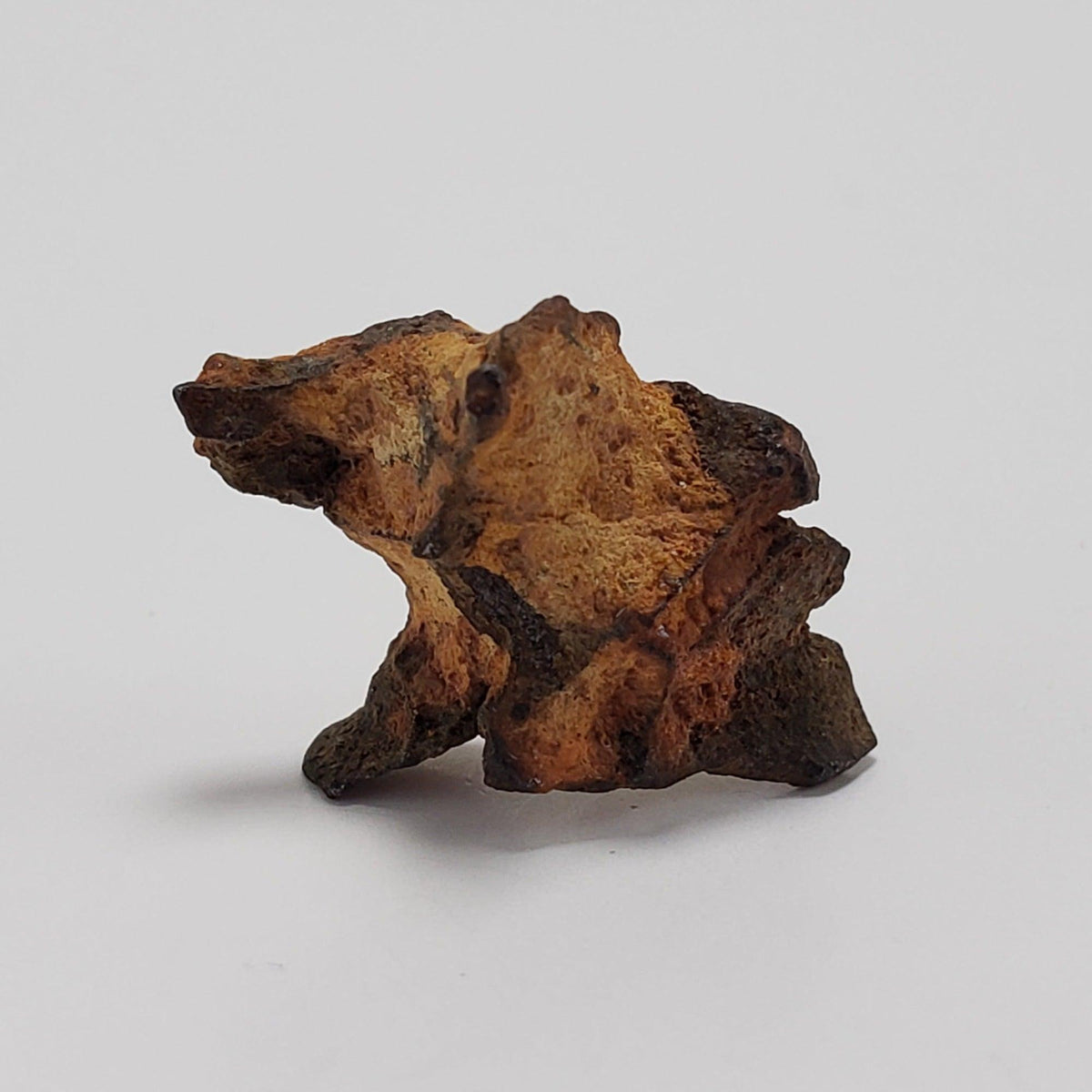  Imilac Meteorite | 1.2 Grams | Individual | Pallasite Stony Iron | Rare 1822 | Chile SO24 3