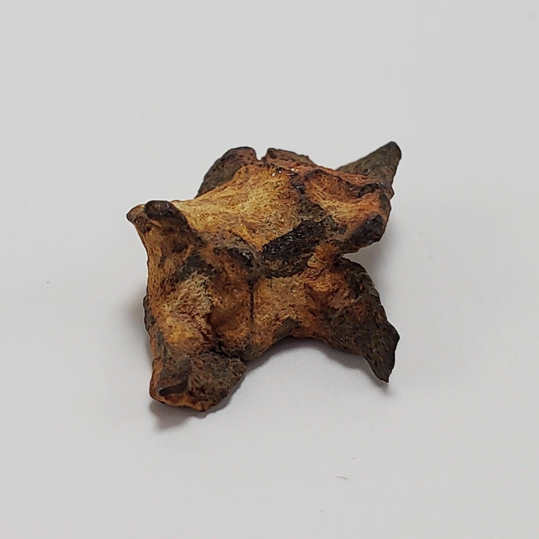  Imilac Meteorite | 1.2 Grams | Individual | Pallasite Stony Iron | Rare 1822 | Chile SO24 5