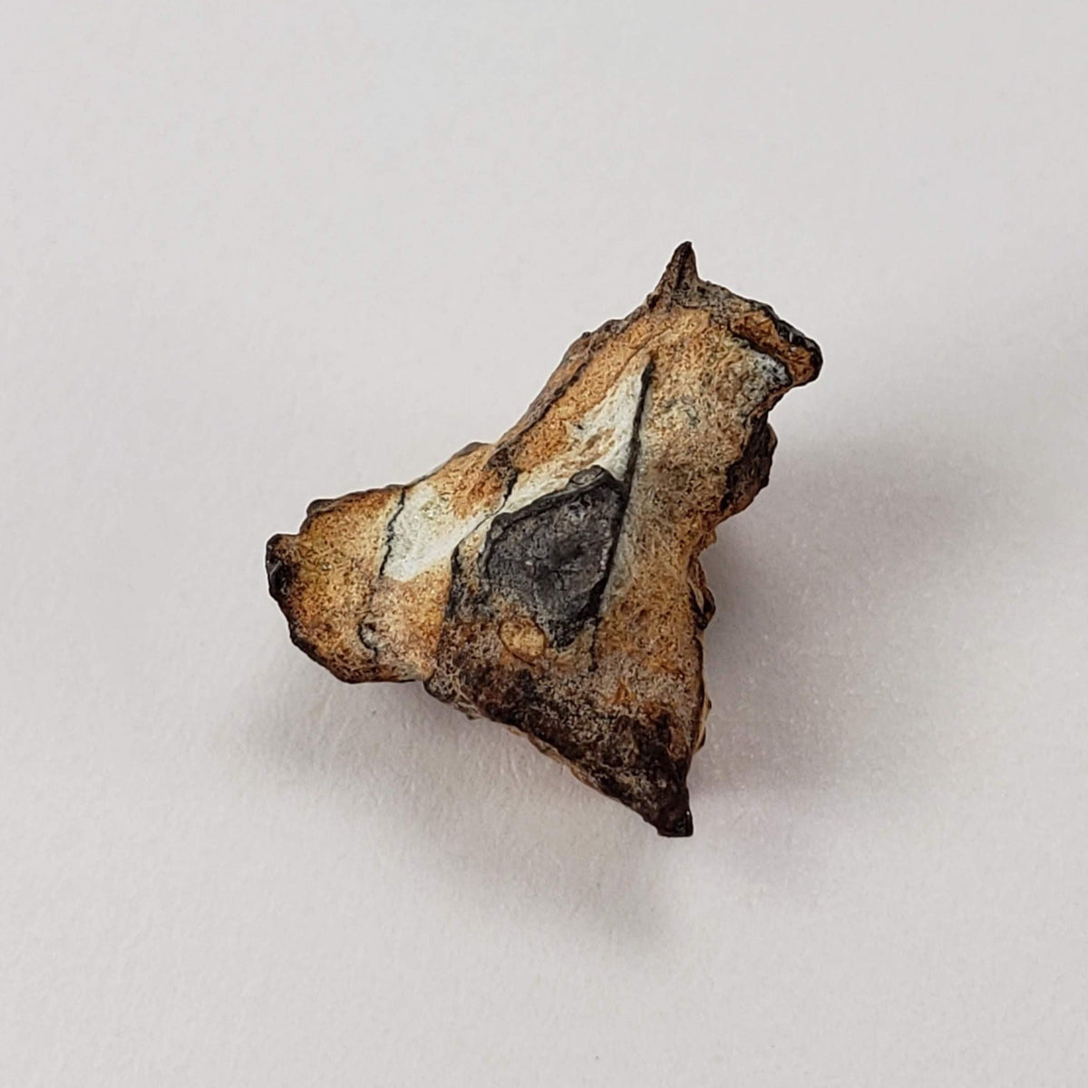  Imilac Meteorite | 1 Gram | Individual | Pallasite Stony Iron | Rare 1822 | Chile | SO24 2
