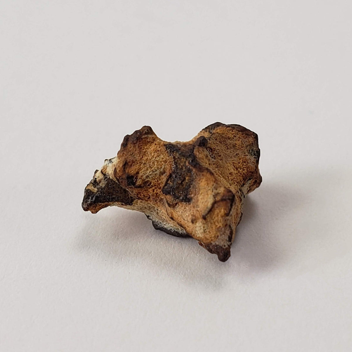  Imilac Meteorite | 1 Gram | Individual | Pallasite Stony Iron | Rare 1822 | Chile | SO24 3