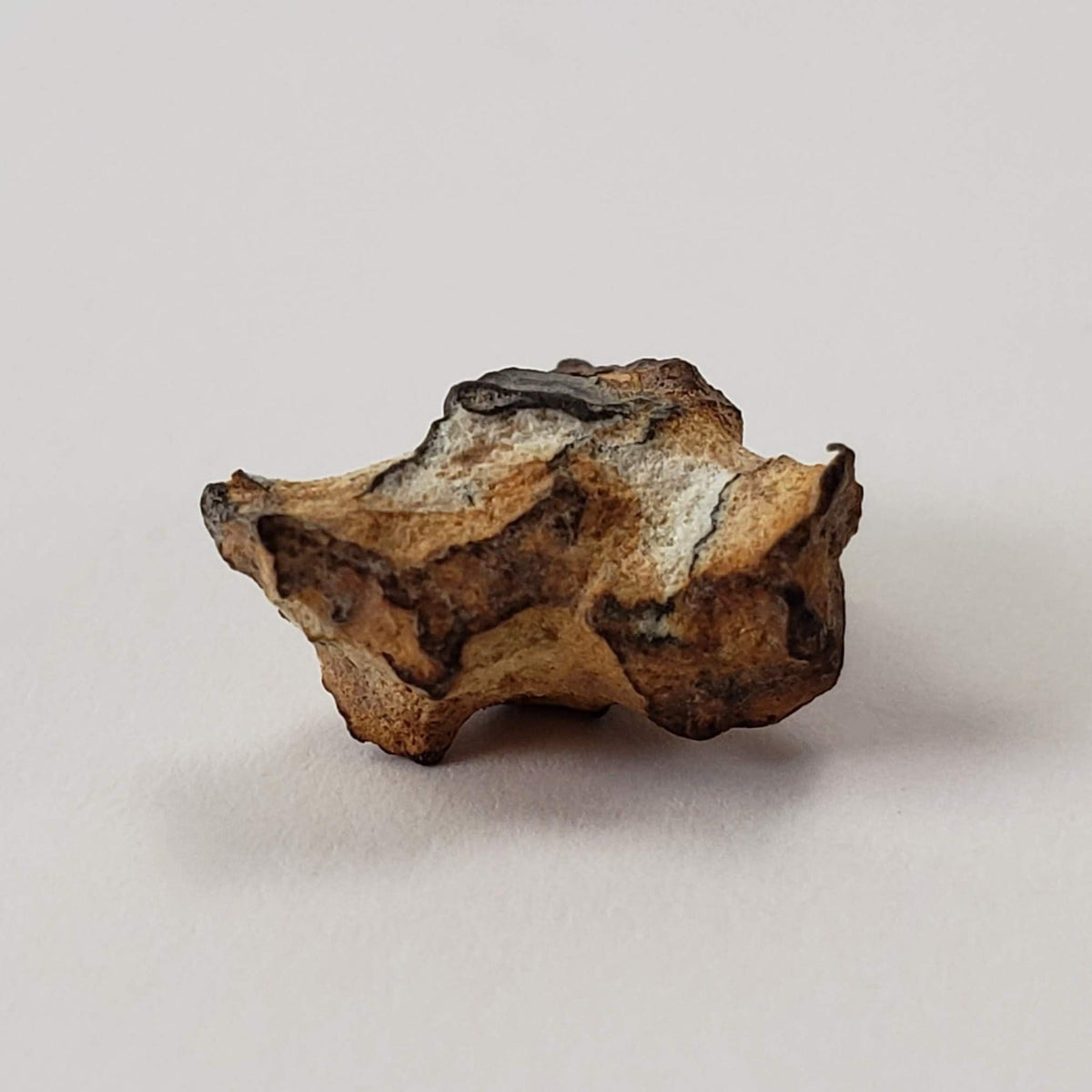  Imilac Meteorite | 1 Gram | Individual | Pallasite Stony Iron | Rare 1822 | Chile | SO24 4