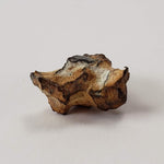  Imilac Meteorite | 1 Gram | Individual | Pallasite Stony Iron | Rare 1822 | Chile | SO24 4