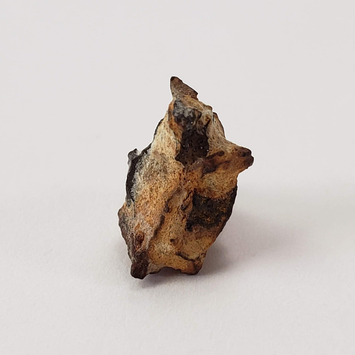  Imilac Meteorite | 1 Gram | Individual | Pallasite Stony Iron | Rare 1822 | Chile | SO24 7