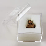  Imilac Meteorite | 1 Gram | Individual | Pallasite Stony Iron | Rare 1822 | Chile | SO24 8