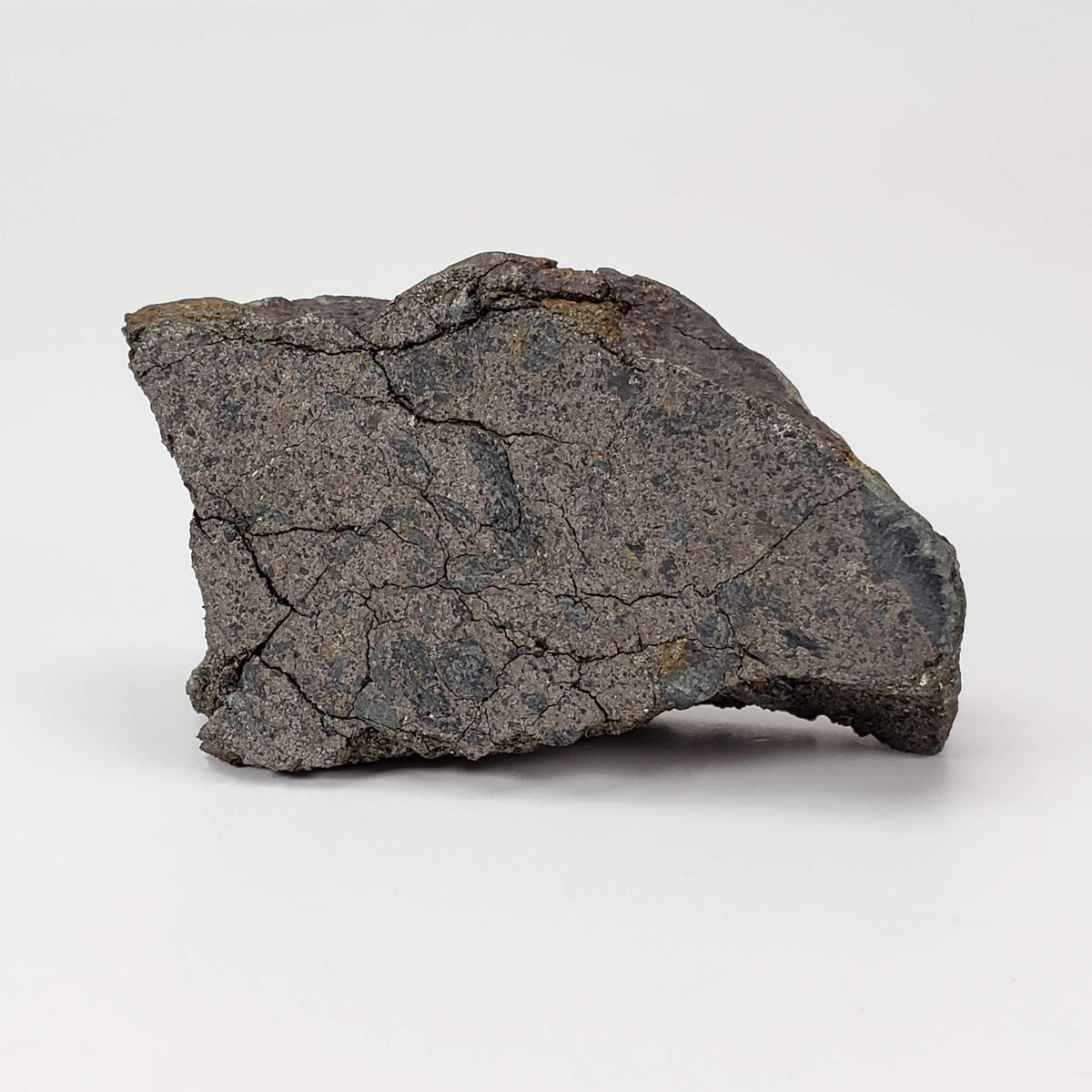  Impact Breccia Part Slice | 59.5 Grams | Metal Rich Impactite | Sudbury Structure, Canada, 