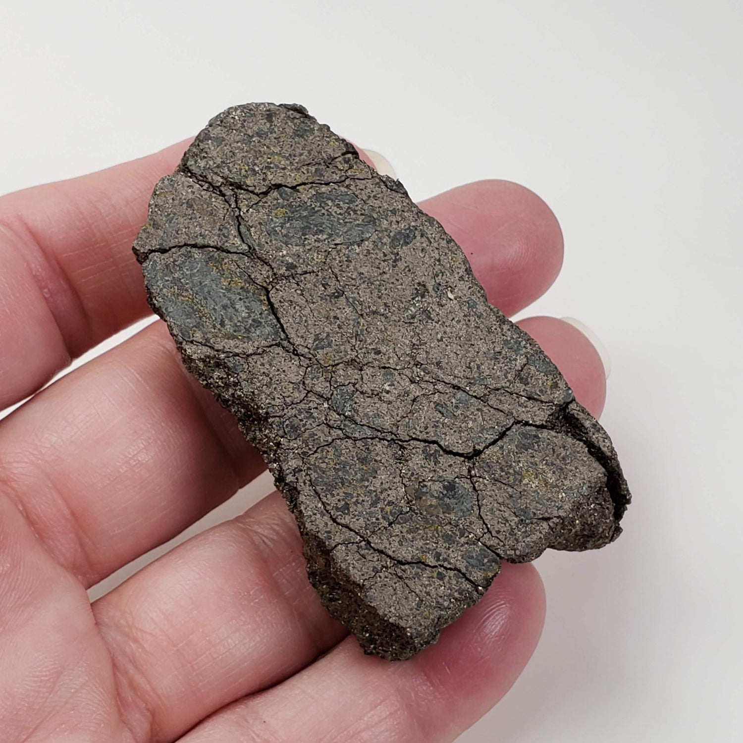  Impact Breccia Part Slice | 83.3 Grams | Metal Rich Impactite | Sudbury Structure, Canada, 
