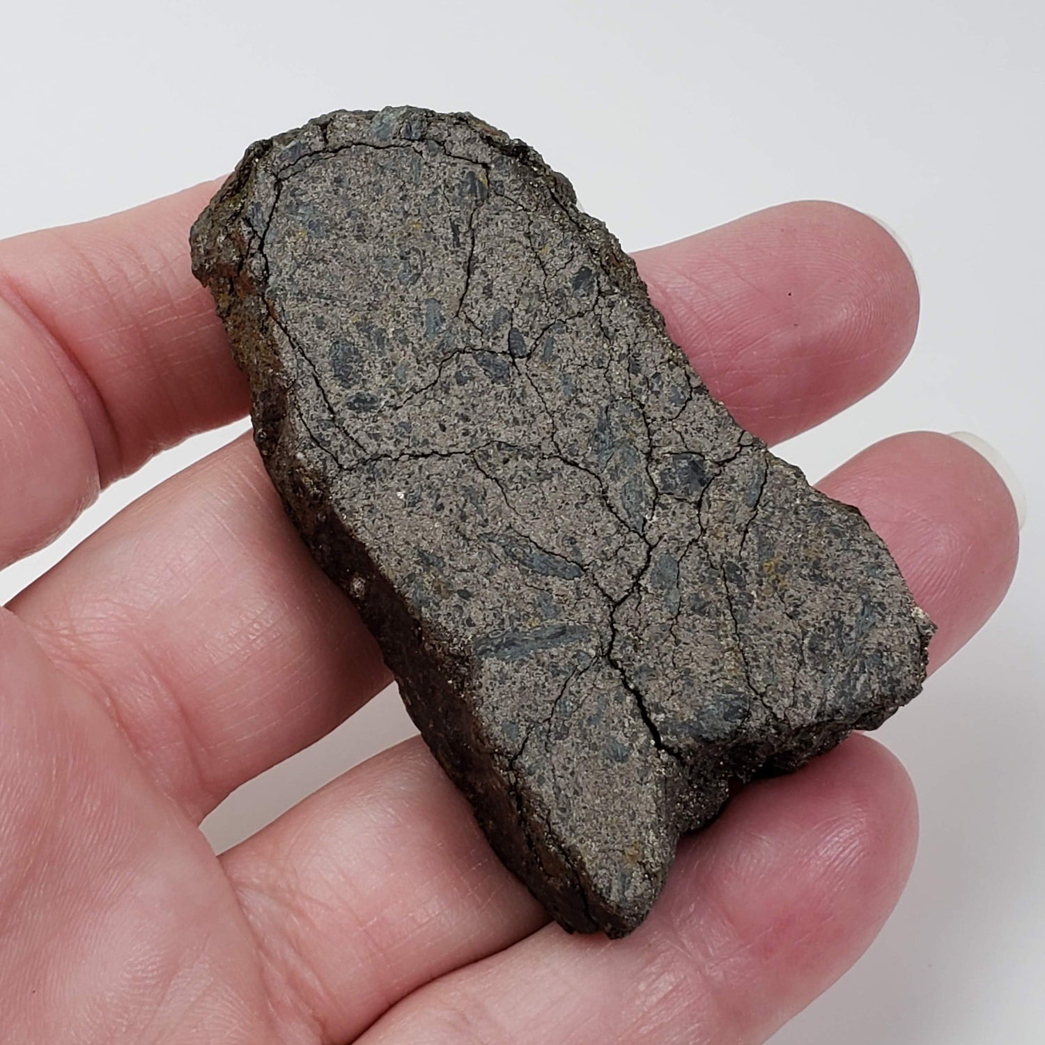  Impact Breccia Part Slice | 83.3 Grams | Metal Rich Impactite | Sudbury Structure, Canada, 1