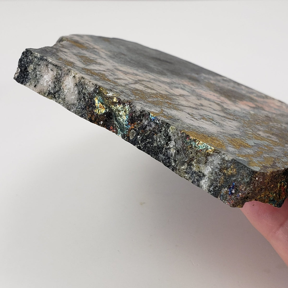  Impact Breccia Slice | 364 Grams | Golden Metal Veining Impactite | Sudbury Structure, Canada | SO24 8