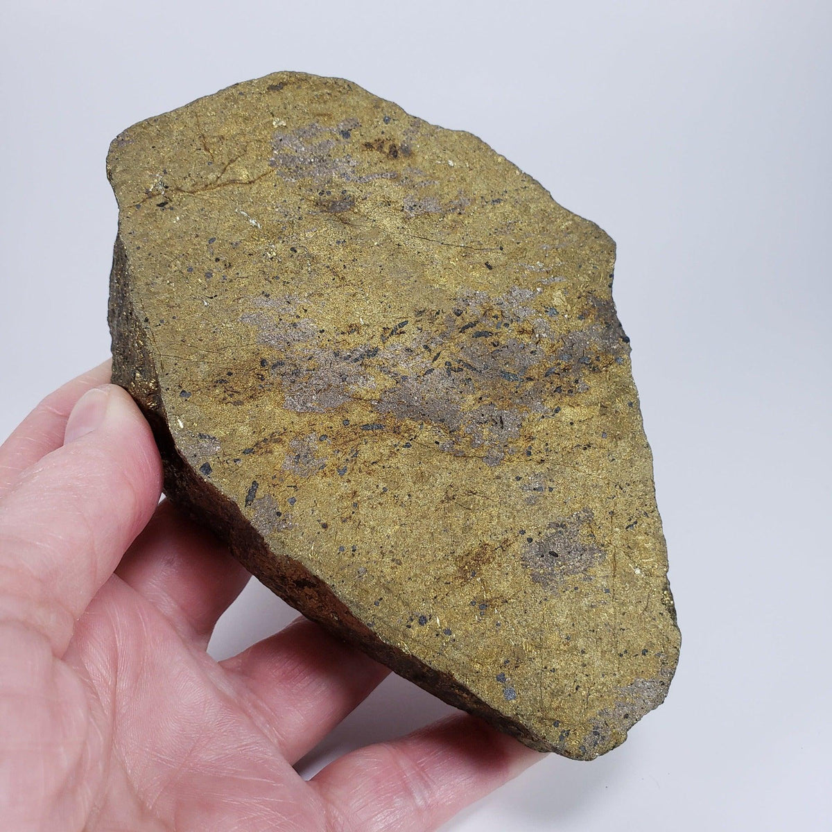  Impact Breccia Slice | 884 Grams | Metal Rich Impactite | Sudbury Structure, Canada | SO24 1