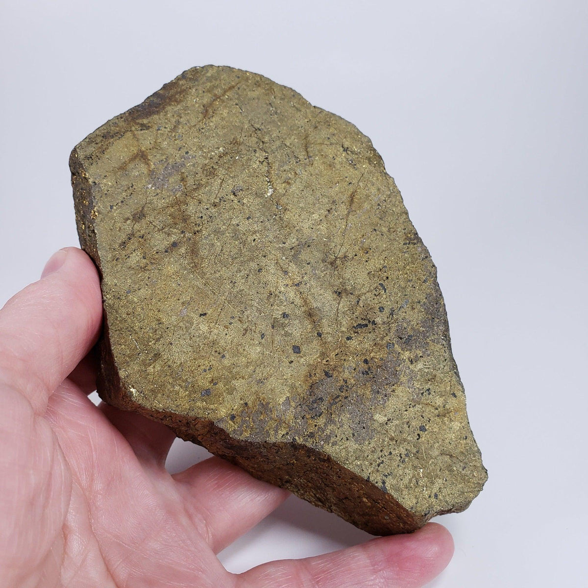  Impact Breccia Slice | 884 Grams | Metal Rich Impactite | Sudbury Structure, Canada | SO24 8