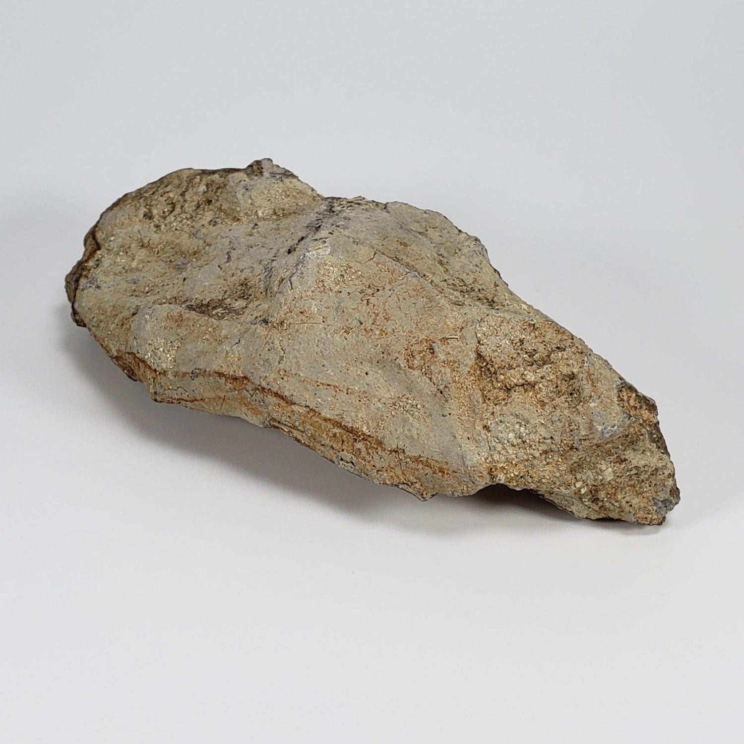  Impact Melt Glass | 395 Grams | Ries Crater Impactite | Stuttgart Germany SO24 