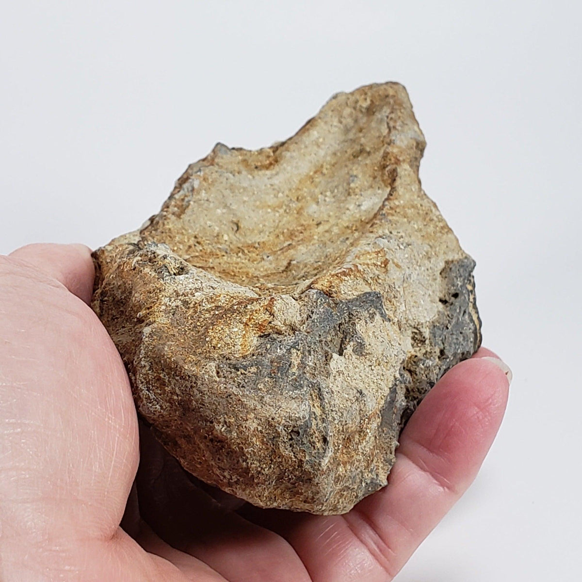  Impact Melt Glass | 395 Grams | Ries Crater Impactite | Stuttgart Germany SO24 2