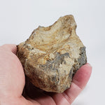  Impact Melt Glass | 395 Grams | Ries Crater Impactite | Stuttgart Germany SO24 2
